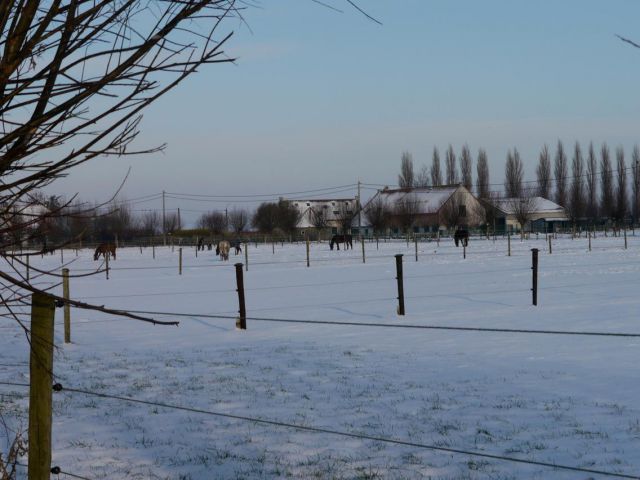 920122_559646617414060_1277578019_o.jpg