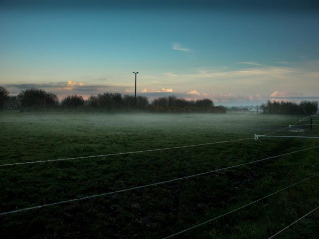 920122_559646620747393_1860591094_o.jpg